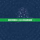 麦玲玲属龙人2022年运势运程，2022年12生肖运势解析