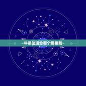 牛吊坠适合哪个属相戴，属牛的适合戴什么吊坠