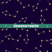 深宫曲温和皇子婚配攻略，深宫曲皇子器重怎么提高