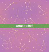 乌龟养5只还是6只，家里养乌龟几只好