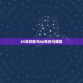 65年的蛇与66年的马婚配，大龄马找什么属相婚配好，66年男马，和65