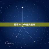 周易2022年生肖运势，2023年属虎人的全年运势