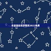 牛宝宝起名字男孩2021免费，2021牛年宝最佳取名
