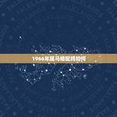 1966年属马婚配鸡如何，66年男属马与69年属鸡是否配对？