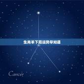 生肖羊下周运势早知道，属羊今年考试运势