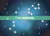 1981年属鸡运势，81年属鸡今年每月运势