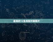 最准的12生肖配对表图片，十二生肖最佳配对表格