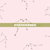 男的属鸡的属相婚配表，男子属鸡的人和什么属相婚配最佳