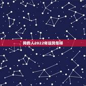 狗的人2022年运势怎样