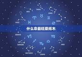 什么命最旺桑拓木，免费生辰八字五行查询