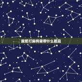 属蛇打麻将需带什么能赢，关于打麻将身上带什么赢钱