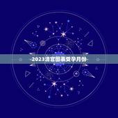 2023清宫图表受孕月份，1900，农历四月l日，怀孕是2019，2月