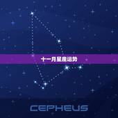 十一月星座运势，玛法达2023年11月4日至11月10日12星座运势？