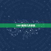 1981属鸡几月命苦，81年属鸡女一生财运