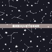 生肖猴2022年下半年运势，1971年的猪女未来五年的运程