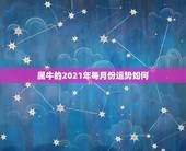 属牛的2021年每月份运势如何，2021年属牛的运势和财运