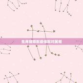 生肖猪婚配最佳配对属相，属猪的属相婚配表，属猪和什么属相最配