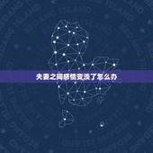 夫妻之间感情变淡了怎么办，夫妻间的感情越来越淡了怎么办？