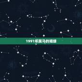 1991年属马的姻缘，1991年属羊的最佳配偶
