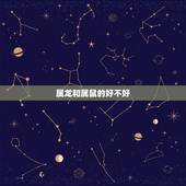 属龙和属鼠的好不好，属龙和属鼠的合作事业