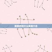 属猴的和什么属相六合，属猴的和什么属相最配