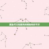 属鼠可以和属鸡的婚配吗好不好，属鸡的和属鼠的婚姻配吗