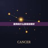 属狗和什么属相结婚好，属狗的人和属什么的人结婚好