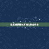 猴属相跟什么属相比较合得来，属猴和属蛇的合不合
