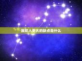 属蛇人更大的缺点是什么，你的优缺点有哪些