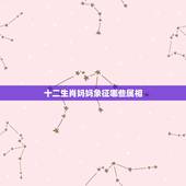 十二生肖妈妈象征哪些属相，十二生肖什么生肖象征着母亲