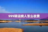 999转运病人怎么收费，救护车长途转运病人怎么收费