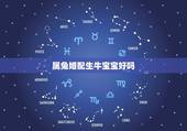 属兔婚配生牛宝宝好吗，属兔和属牛要一个牛宝宝好不好