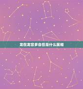 龙在龙宫多自在是什么属相，龙在龙宫多自在，猜一生肖