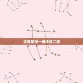 正缘是指一婚还是二婚，只有遇到正缘才是对的人吗？才能结婚吗？