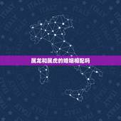 属龙和属虎的婚姻相配吗，属龙和属虎的人婚姻匹配吗