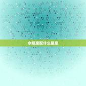水瓶座配什么星座，水瓶座配什么星座