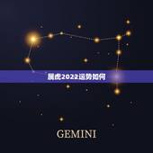 属虎2022运势如何，62年属虎人2022年可以出远门吗