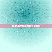 2005出生属鸡的学业有成吗，2005年属鸡男孩高考运2023