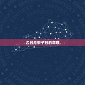 乙丑月甲子日的命理，乙丑日生于亥月