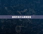 鼠和牛生什么属相宝宝，属猪和属牛生什么属相宝宝好