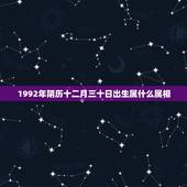 1992年阴历十二月三十日出生属什么属相，1992年农历12月29日生