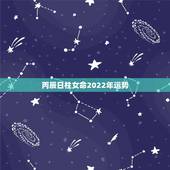丙辰日柱女命2022年运势，2022年运势12生肖运势详解