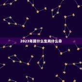 2023年属什么生肖什么命，2023年属兔人的全年运势详解