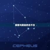 属猴与属鼠的合不合，属猴跟属鼠的人做生意合不合