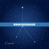 属兔明天的财运和运势，属兔明日运势