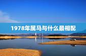 1978年属马与什么最相配，1978年的马最佳配偶是什么属相