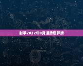 射手2022年9月运势塔罗牌，塔罗牌测桃花运势用的无牌阵 过去：节制逆