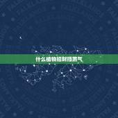 什么植物招财挡煞气，请问挡煞气的绿色植物有哪些