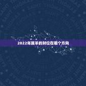 2022年属羊的财位在哪个方向，2022 年五黄二黑在哪个方位