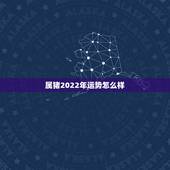 属猪2022年运势怎么样，属猪的2022 年运势怎么样